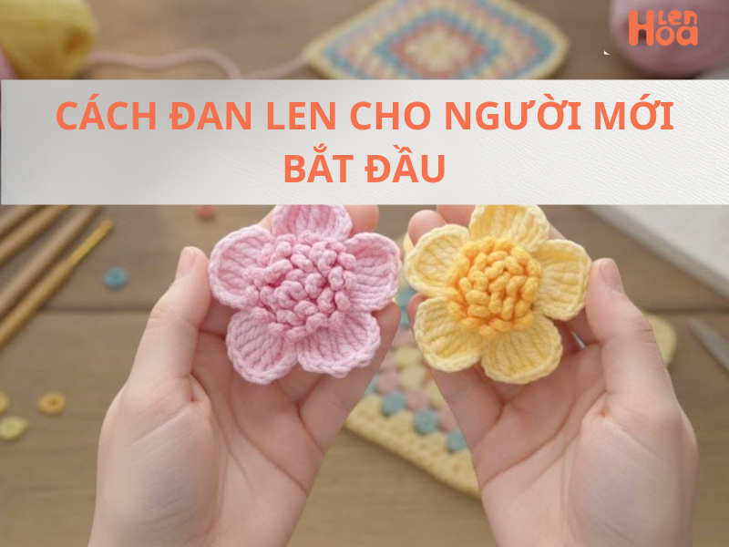 Hướng dẫn cách đan len dễ nhất cho người mới bắt đầu với kim đan và len sợi cơ bản