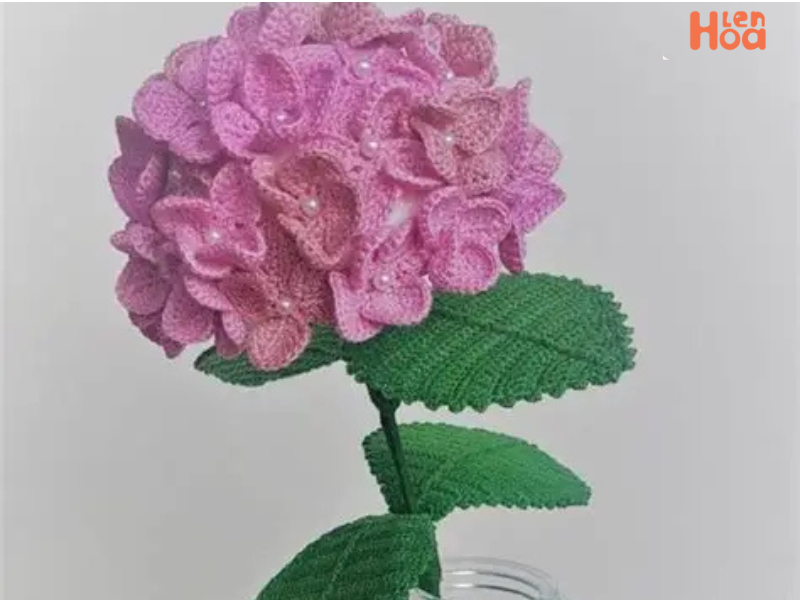 Cách Đan Hoa Cẩm Tú Cầu